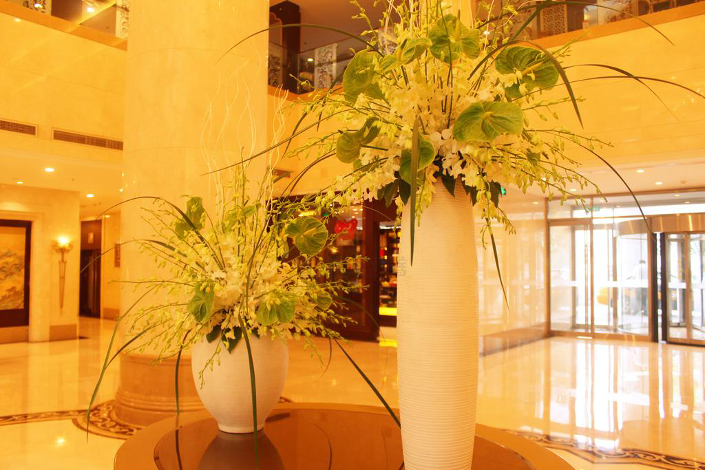 1515829942527679.jpg 1515829942527679.jpg