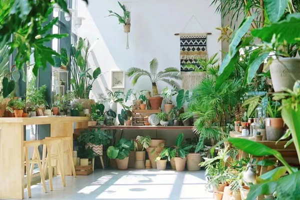 1689241277258433.jpg 2.jpg