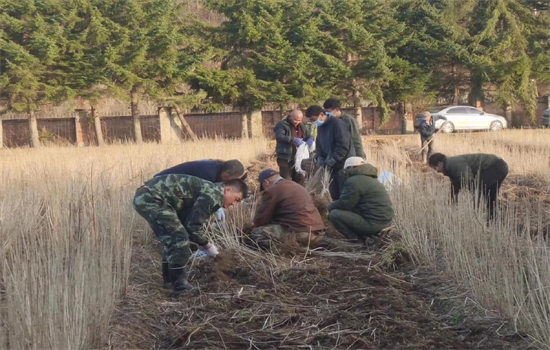 1701755347983585.jpg 0510工作動(dòng)態(tài)苗木2.jpg