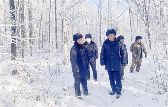 1702430625992946.jpg 469d75e7797c692571220e8ed82a6ef.jpg