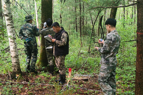 1761807363687550.jpg 攻堅(jiān)克難踐初心 數(shù)據(jù)賦能護(hù)林海 泉林公司圓滿完成森林可持續(xù)經(jīng)營(yíng)試點(diǎn)成效監(jiān)測(cè)調(diào)查復(fù)測(cè)任務(wù)(2).jpg