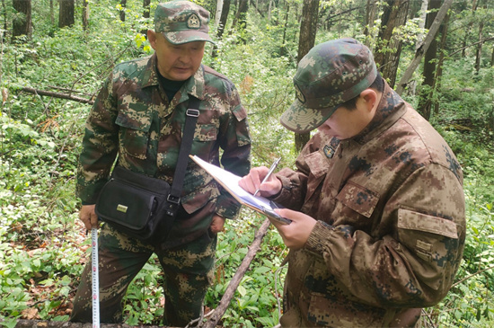 1761807369357240.jpg 攻堅(jiān)克難踐初心 數(shù)據(jù)賦能護(hù)林海 泉林公司圓滿完成森林可持續(xù)經(jīng)營(yíng)試點(diǎn)成效監(jiān)測(cè)調(diào)查復(fù)測(cè)任務(wù)(3).jpg