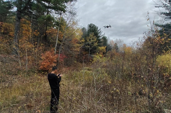 1761808182835111.jpg 泉林公司扎實(shí)開展松材線蟲病秋季普查工作(3).jpg